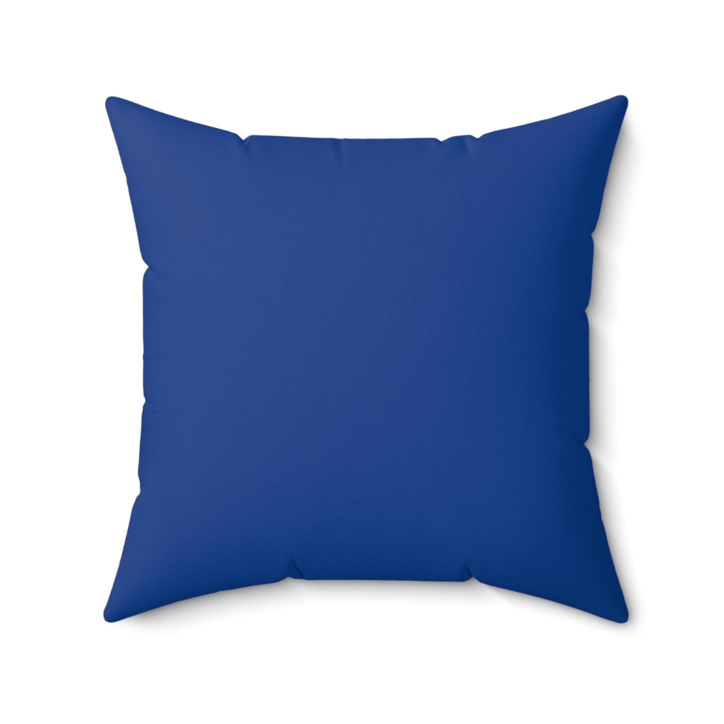 "Secret" Throw Pillow